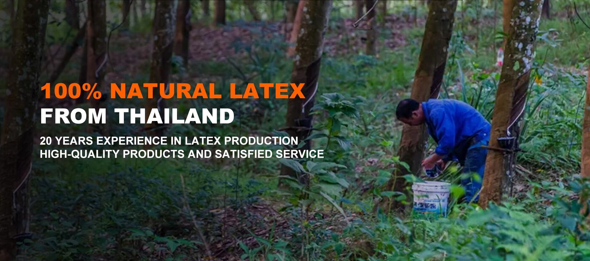 Fornecedor de colchões de látex natural